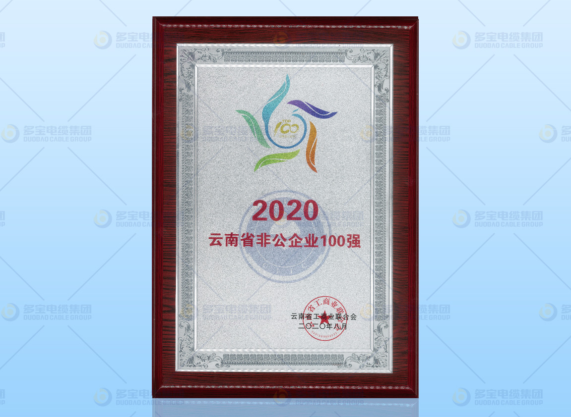 2020云南省非公企業100強
